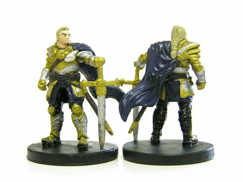 Human Paladin - Tyranny of Dragons  - 8/45